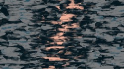 image: image from new f