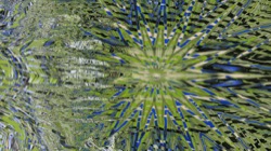 image: image from new f