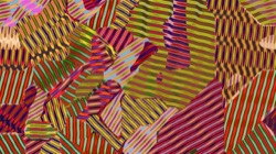 image: image from new f