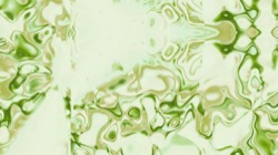 image: image from new f