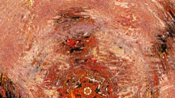 image: image from organic sym