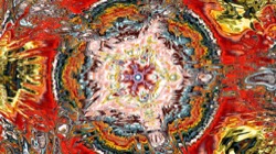 image: image from organic sym