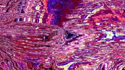 image: image from organic sym