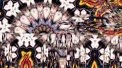 image: image from organic sym