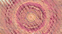 image: image from organic sym