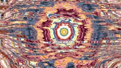 image: image from organic sym