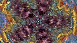 image: image from organic sym