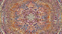 image: image from organic sym