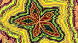 image: image from organic sym