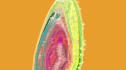 image: image from pattern