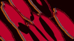 image: image from pattern