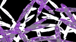 image: image from splotches