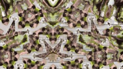 image: image from sym broken