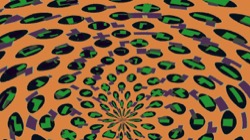 image: image from sym patterns