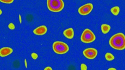 image: image from t1