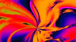 image: image from t1