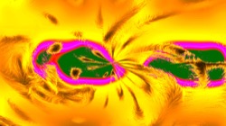 image: image from t1