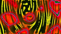 image: image from t1