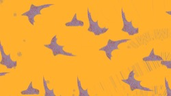 image: image from t1