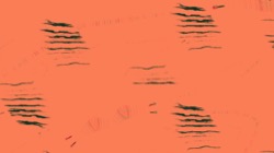 image: image from t1