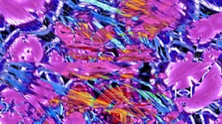 image: image from t2