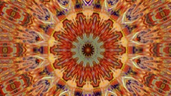 image: image from trisym