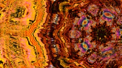 image: image from trisym