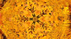 image: image from trisym