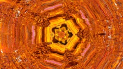 image: image from trisym