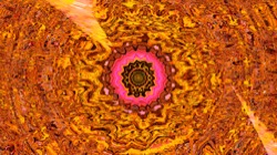 image: image from trisym