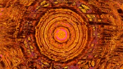 image: image from trisym