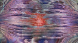 image: image from trisym