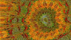 image: image from trisym