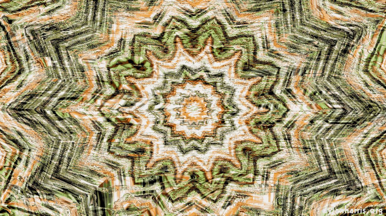 image: zygotes :: zygote13