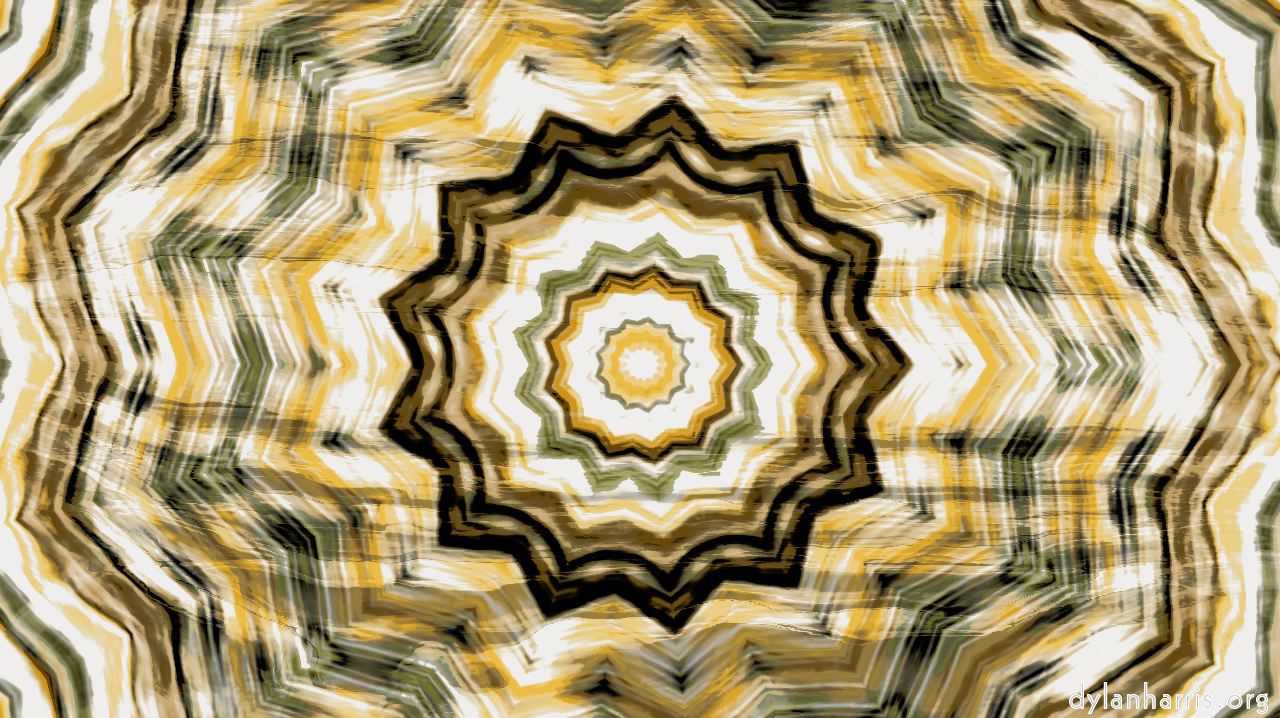 image: zygotes :: zygote16