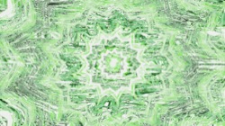 image: image from zygotes