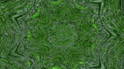 image: image from zygotes