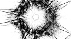 image: image from zygotes