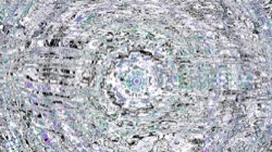 image: image from zygotes