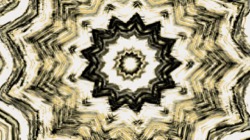 image: image from zygotes