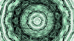 image: image from zygotes