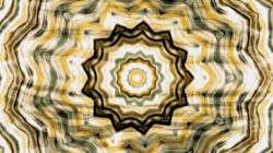 image: image from zygotes