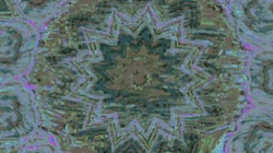 image: image from zygotes