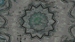 image: image from zygotes