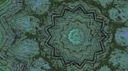 image: image from zygotes