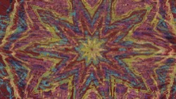 image: image from zygotes