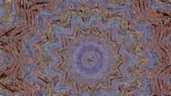 image: image from zygotes