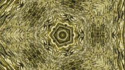 image: image from a new