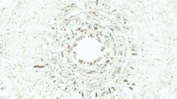 image: image from a new