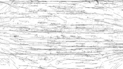 image: image from c new